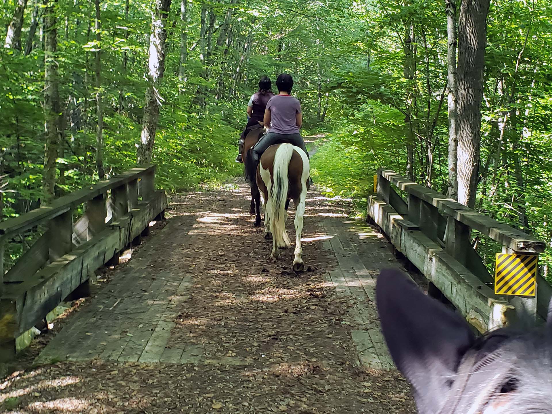 women riding horses in Groton Vermont