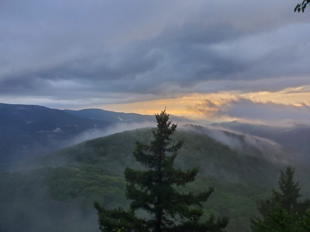 July View from Gilbert Lookout in Owls Head