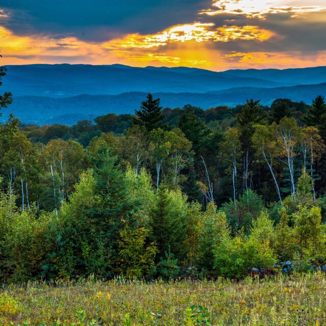 Tucker Mountain landscape