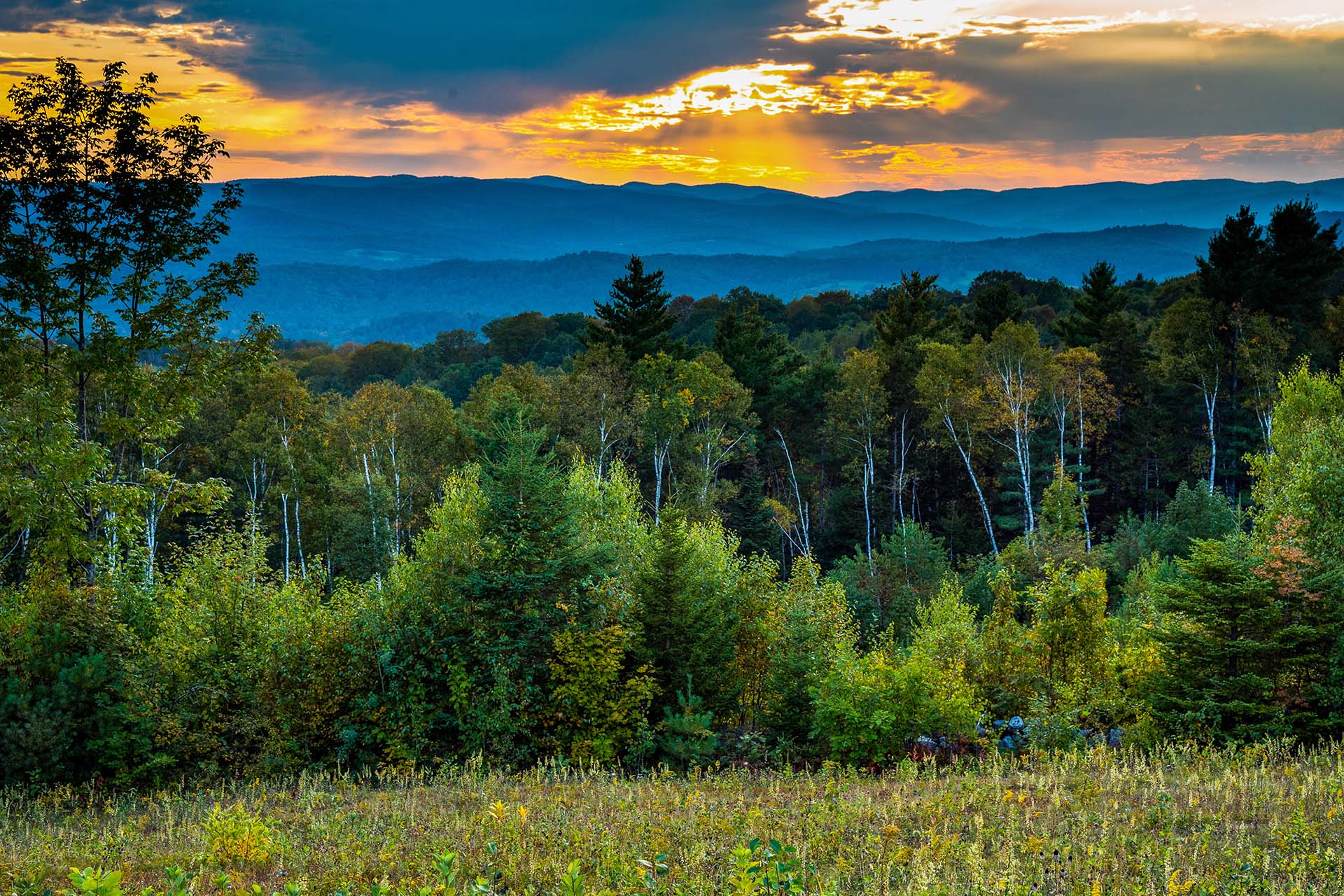 Tucker Mountain landscape