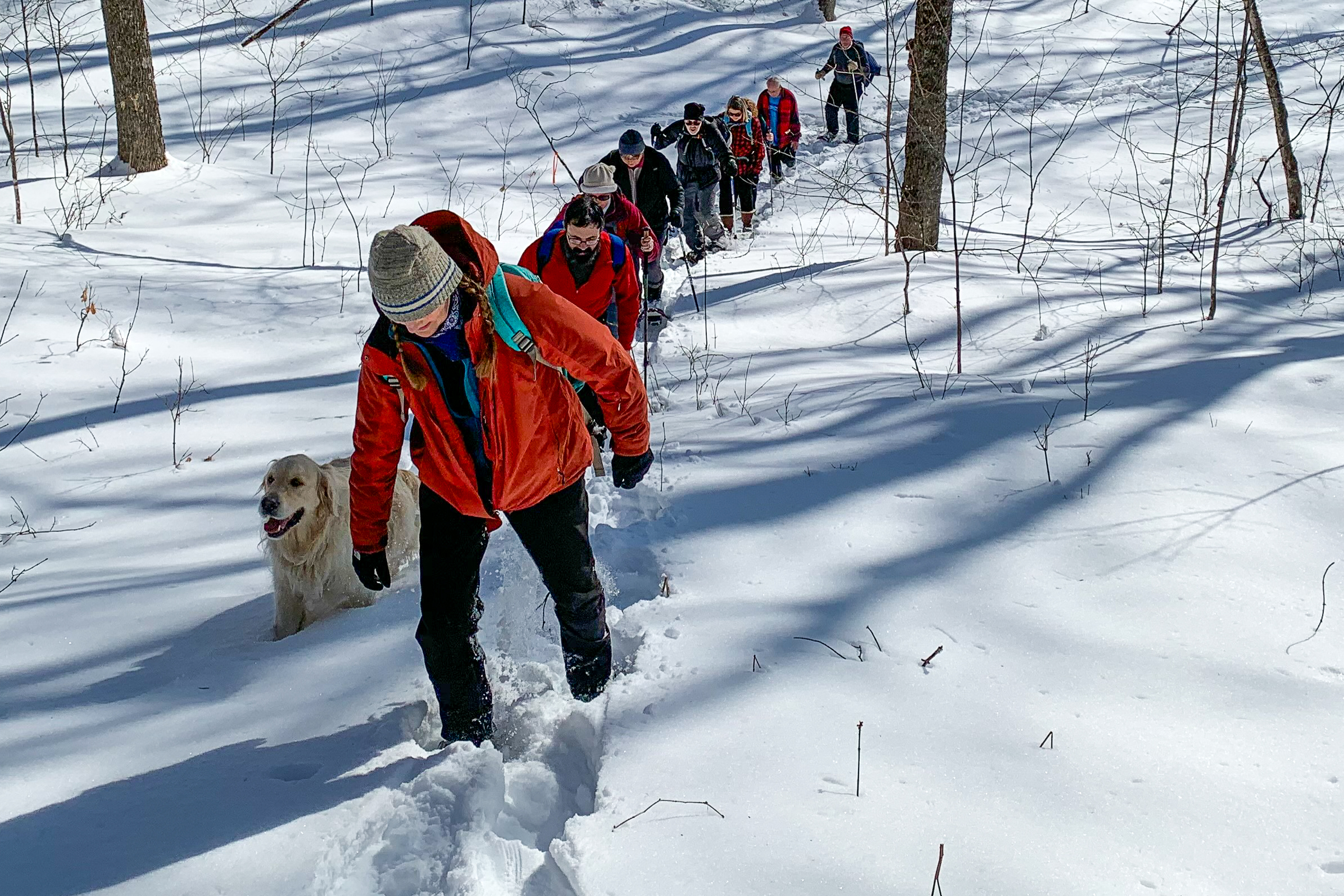 A group of people hiking in the winter