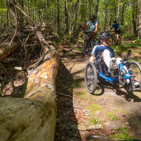 Accessible mountain biker on trail