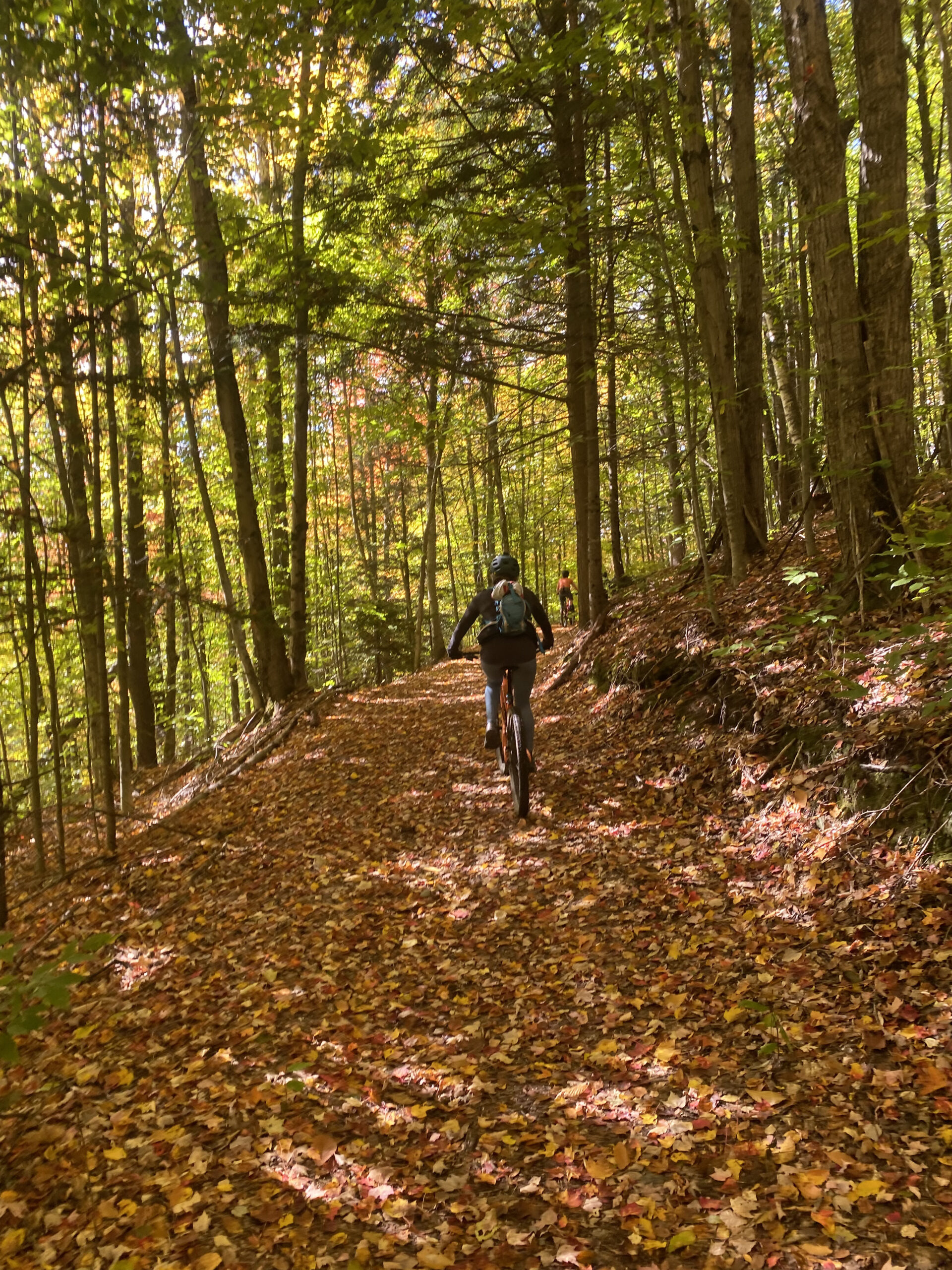 Person on a trail in fall