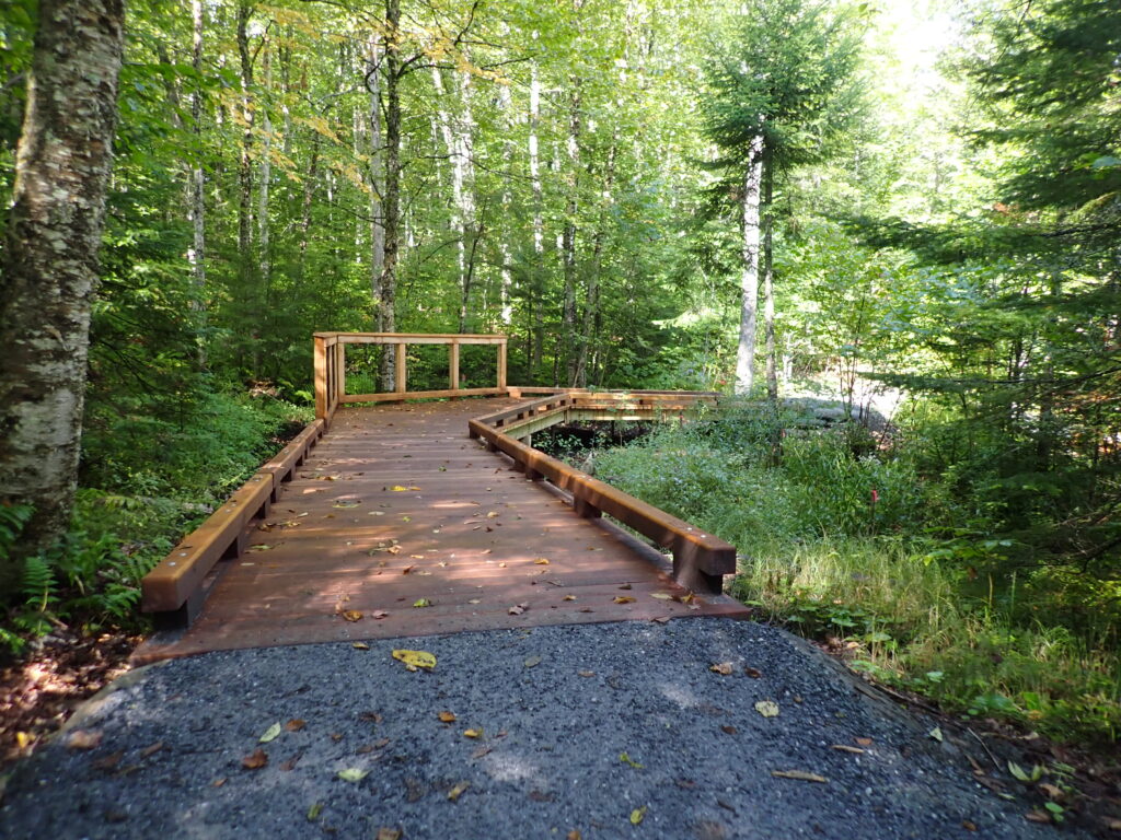 wide crushed gravel path leading to wide wooden boardwalk that is accessible