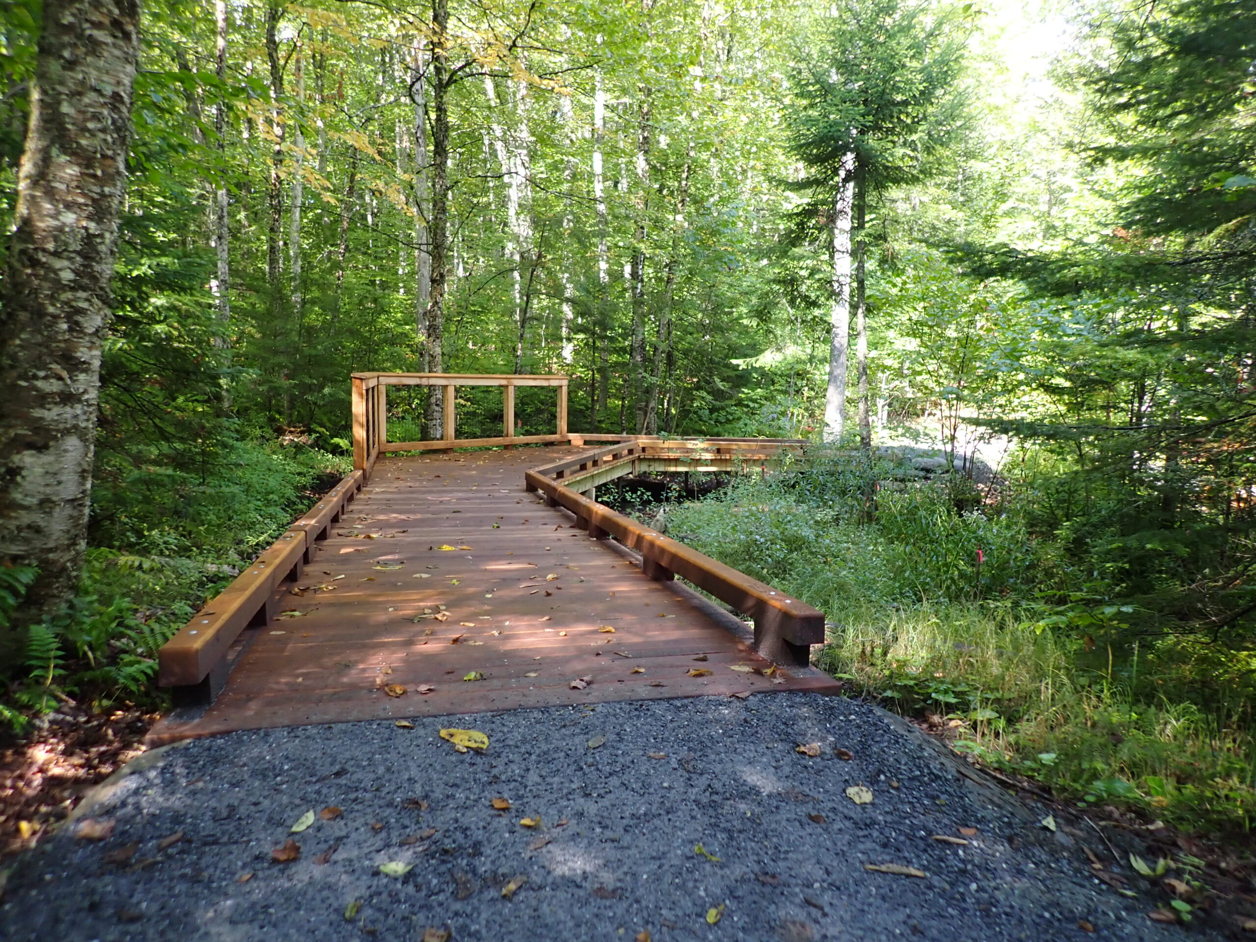 wide crushed gravel path leading to wide wooden boardwalk that is accessible