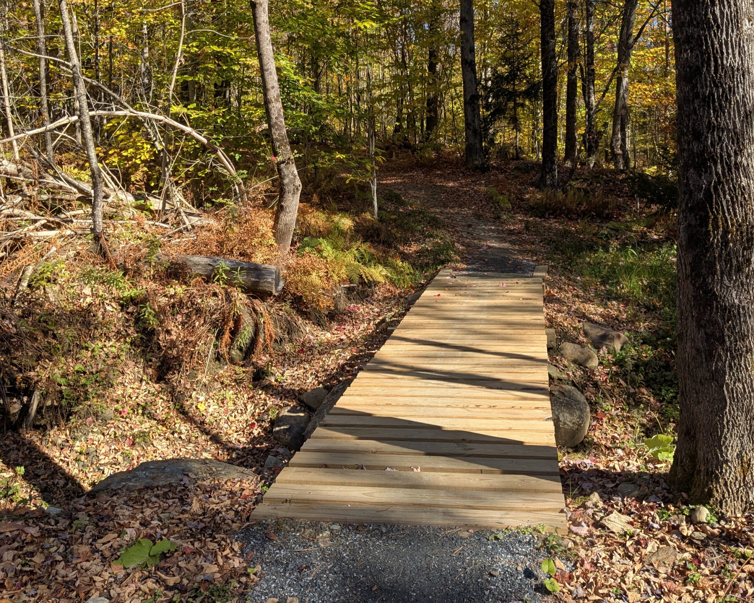 von trapp trails in the woods - a board walk bridge over rocks to a dirt path trail in autumn