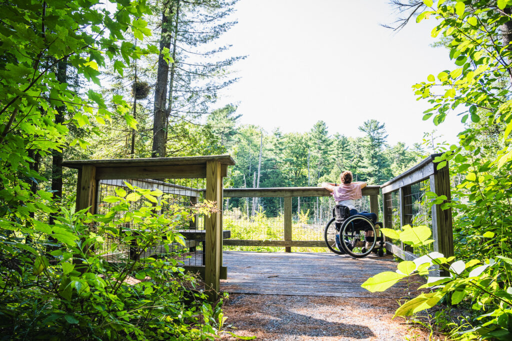 woman in wheelchair on wooden viewing platform with rails