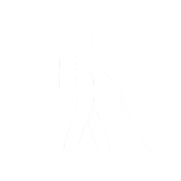 Visual Impairment Icon