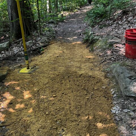 Pine hill park escalator trail accessibility update