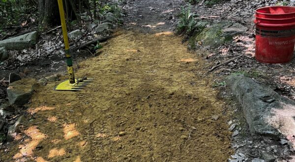 Pine hill park escalator trail accessibility update