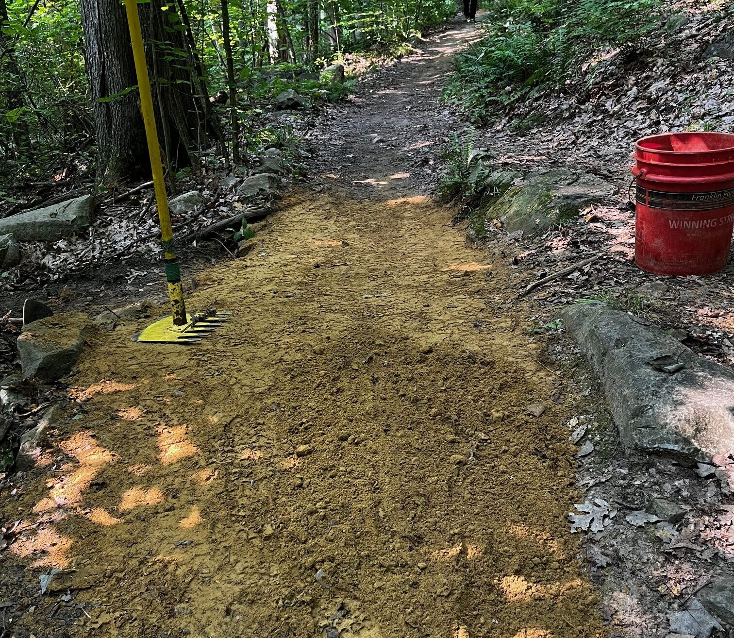 Pine hill park escalator trail accessibility update