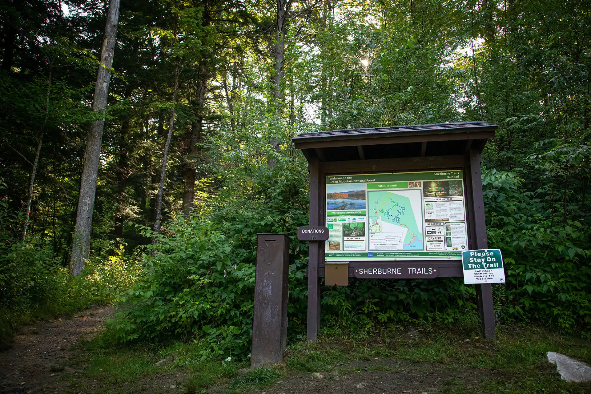 Trail users enjoying an accessible outdoor path in Vermont on a summer day